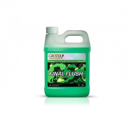 FINAL FLUSH MANZANA 1 LITRO...