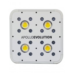 Apollo Evolution 4