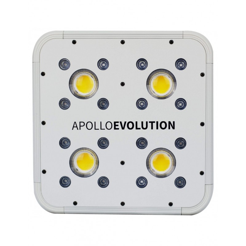 Apollo Evolution 4