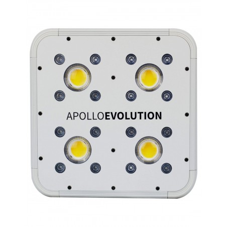 Apollo Evolution 4