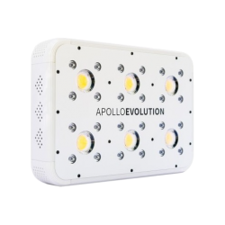 Apollo Evolution 6