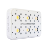 Apollo Evolution 6