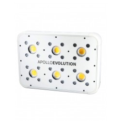 Apollo Evolution 6