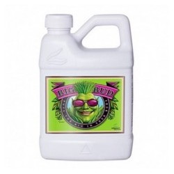 BIG BUD 500ML-ADVANCED...