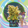 GELATO FRUITS FEM