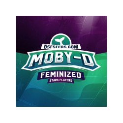Moby-D 12 Semillas Bsf Seeds