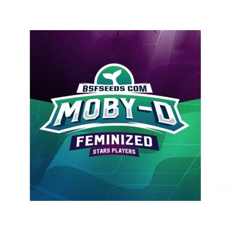 Moby-D 12 Semillas Bsf Seeds