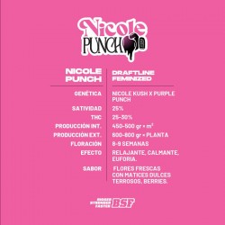 Nicole Punch 12 Semillas Bsf Seeds