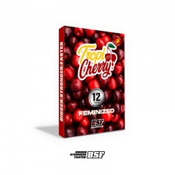 TropiCherry 12 Semillas Bsf...
