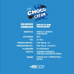 Choco Cream 12 Semillas Bsf Seeds