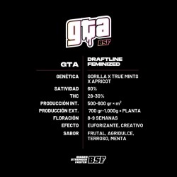 GTA 12 Semillas Bsf Seeds
