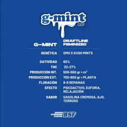 G-Mint 12 Semillas Bsf Seeds