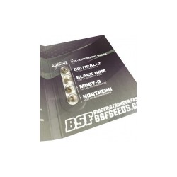 Dealer Deal XXL Automix 12 Semillas BSF Seeds