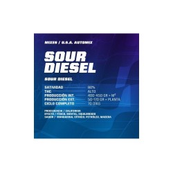 All Stars Usa Automix 12 Semillas Bsf Seeds