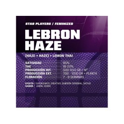 Lebron Haze 12 semillas BSF Seeds