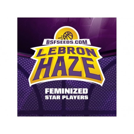 Lebron Haze 12 semillas BSF Seeds