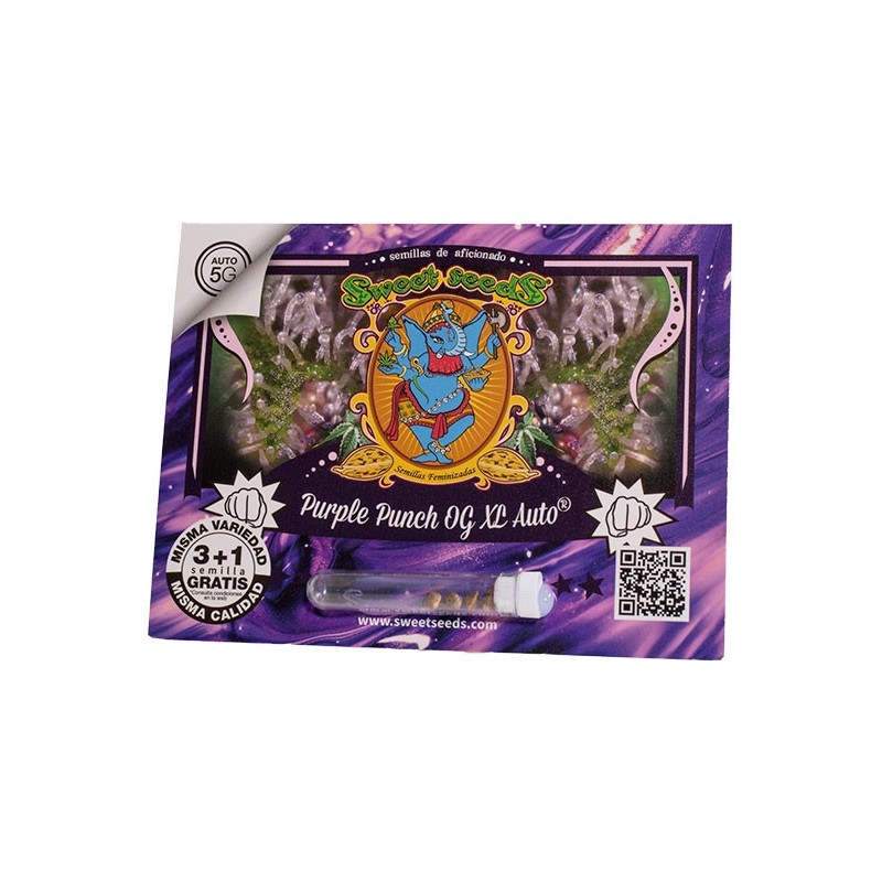 Purple Punch OG XL Auto® 3 + 1
