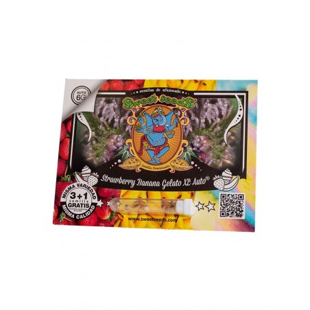 Strawberry Banana Gelato XL Auto® 3 + 1