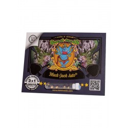 Black Jack Auto® 3 + 1