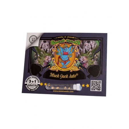 Black Jack Auto® 3 + 1