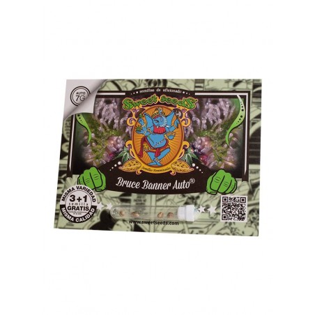 Bruce Banner Auto® 3 + 1