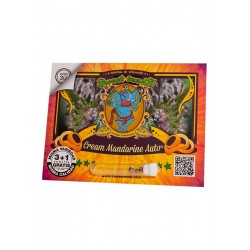Cream Mandarine Auto® 3 + 1