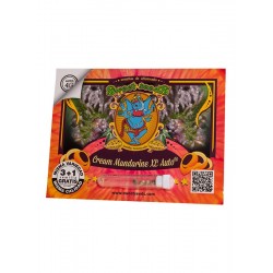 Cream Mandarine XL Auto® 3 + 1