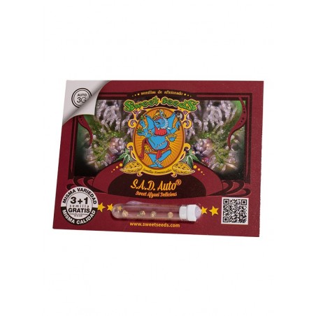 S.A.D. Sweet Afgani Delicious Auto® 3 + 1