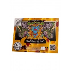 Sweet Cheese XL Auto® 3 + 1