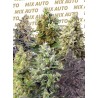 Sweet Mix Auto® X 10