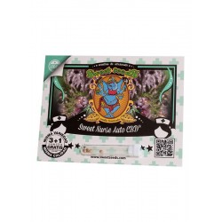 Sweet Nurse Auto CBD® 3 + 1