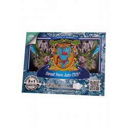 Sweet Pure Auto CBD® 3 + 1