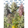 Sweet Mix Fotodependientes® X 10