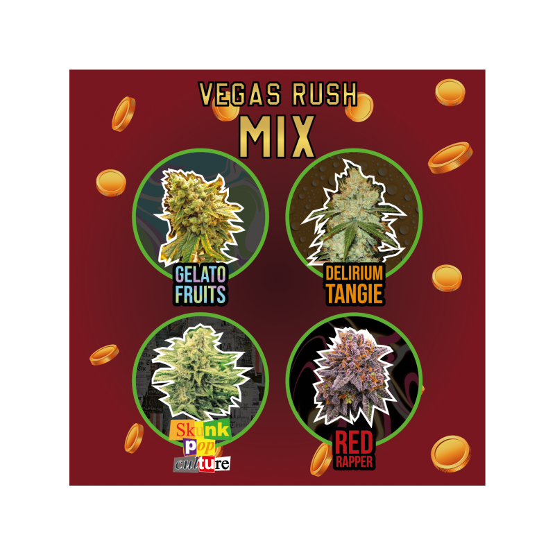 MIX VEGAS RUSH FEM X 14