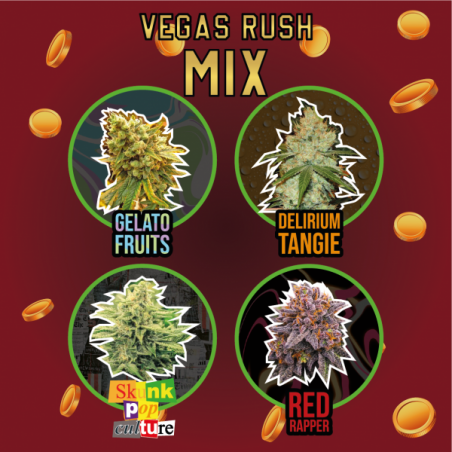 MIX VEGAS RUSH FEM X 14