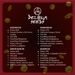 MIX VEGAS RUSH FEM X 14