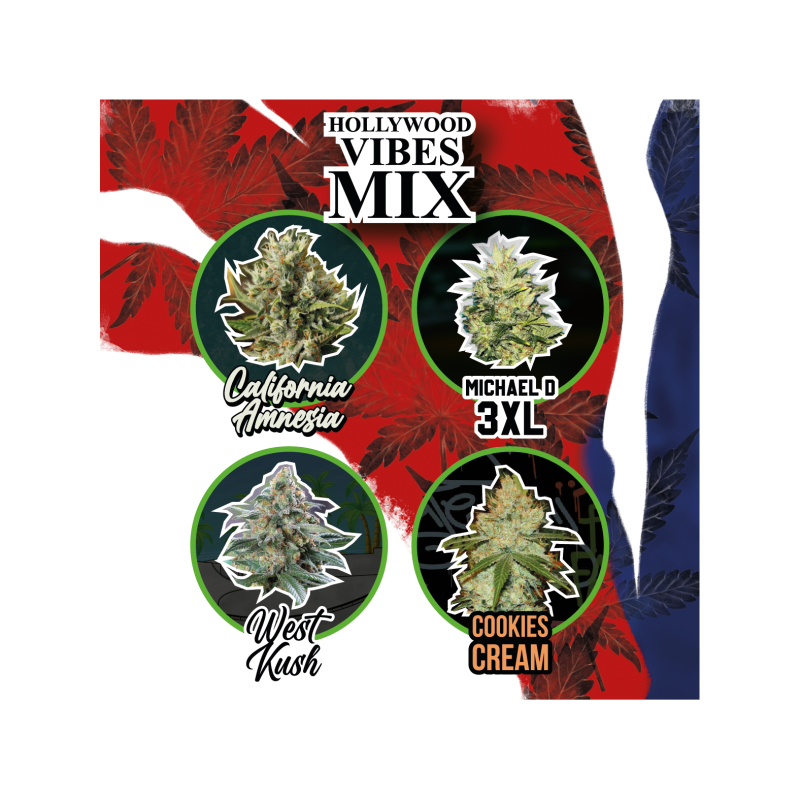 MIX HOLLYWOOD VIBES AUTO X 14