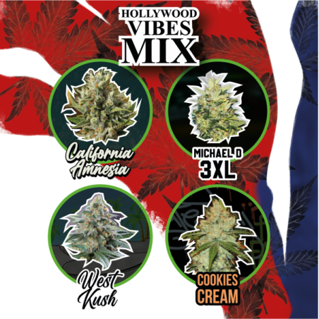 MIX HOLLYWOOD VIBES AUTO X 14