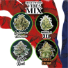 MIX HOLLYWOOD VIBES AUTO X 14