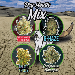 MIX DRY MOUTH AUTO X 14