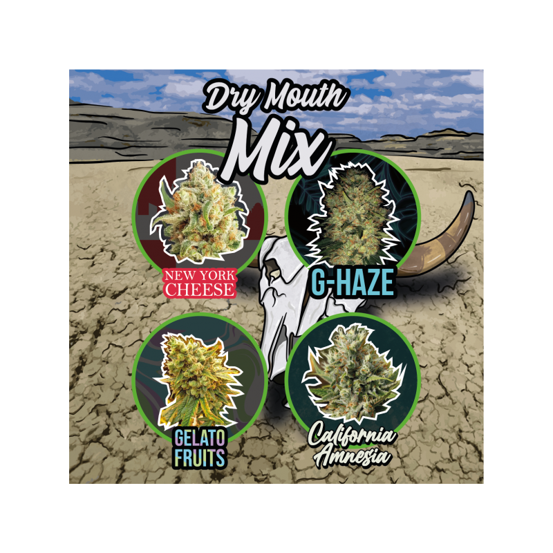 MIX DRY MOUTH AUTO X 14
