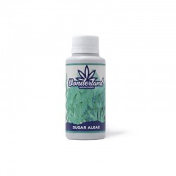 SUGAR ALGAE