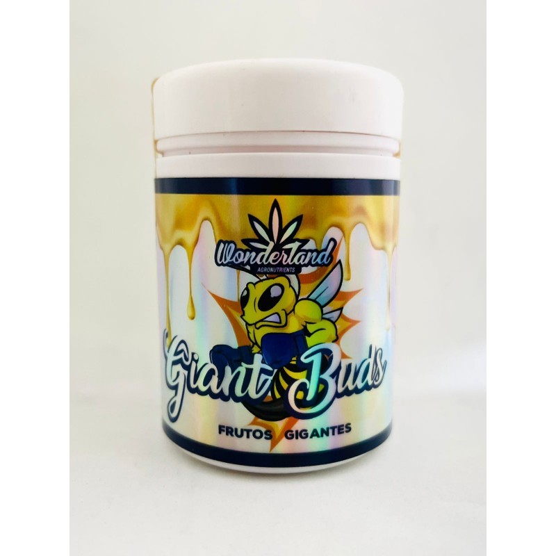 GIANT BUDS 52-34 120G