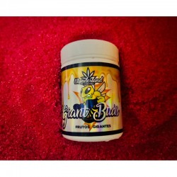 GIANT BUDS 52-34 120G