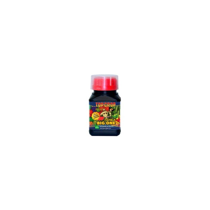 big one 250 ml