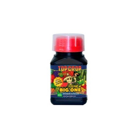 big one 250 ml