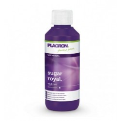 SUGAR ROYAL 100 ML – PLAGRON