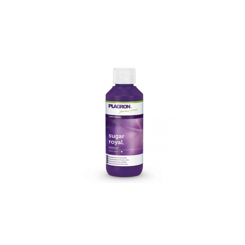 SUGAR ROYAL 100 ML – PLAGRON