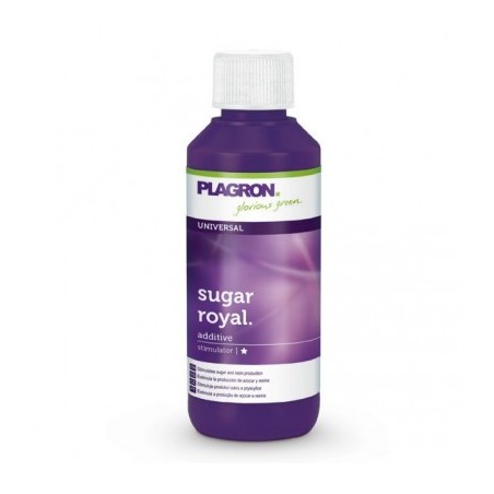 SUGAR ROYAL 100 ML – PLAGRON