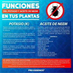 NK JABON POTASICO CON ACEITE NEEM 100 CC